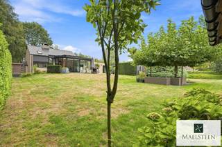 Deze eigendom bevindt zich in de standingvolle en rustige Bremdreef, in de bosrijke omgeving van Vorsevijvers, Wildenburg en het Bulskampveld. Het perceel van 2.192 m² is opvallend open en vrij van dichte bebossing. Dit garandeert een uitstekende, natuurlijke lichtinval gedurende de hele dag en biedt een weids uitzicht over de eigen grond. De huidige woning baadt in het licht en wordt gekenmerkt door een heel open gevoel waar alle ruimtes in elkaar overvloeien. Mits omgevingsvergunning kan de huidige woning worden uitgebreid tot 700 kubieke meten.<br /><br />Actuele samenstelling:<br />Inkomhal met apart toilet en berging. Zeer lichtrijke eetplaats met aangrenzende open keuken (toestellen van NEFF). Gezellige zitput met houthaard. Ruime slaapkamer met en-suite doucheruimte. Technisch lokaal.<br />Op het verdiep: open bureau, ruime tweede slaapkamer en een kamer die momenteel wordt gebruikt als dressing.<br /><br />Buitenruimte: verschillende terrassen om optimaal van de zon te genieten, carport voor 2 wagens (laadvoorziening aanwezig), 2 tuinhuizen, vijver.<br /><br />Troeven van deze woning: een groot perceel, ligging tussen de bossen op de grens van Hertsberge en Wingene, potentieel tot uitbreiding, zonnepanelen en thuisbatterij aanwezig.<br /><br />EPC E (410): renovatieplicht<br /><br />Neem zeker contact op met al uw vragen of om uw persoonlijke afspraak (7/7) vast te leggen: 0478 93 72 00 of maxime@maelsteen.be
