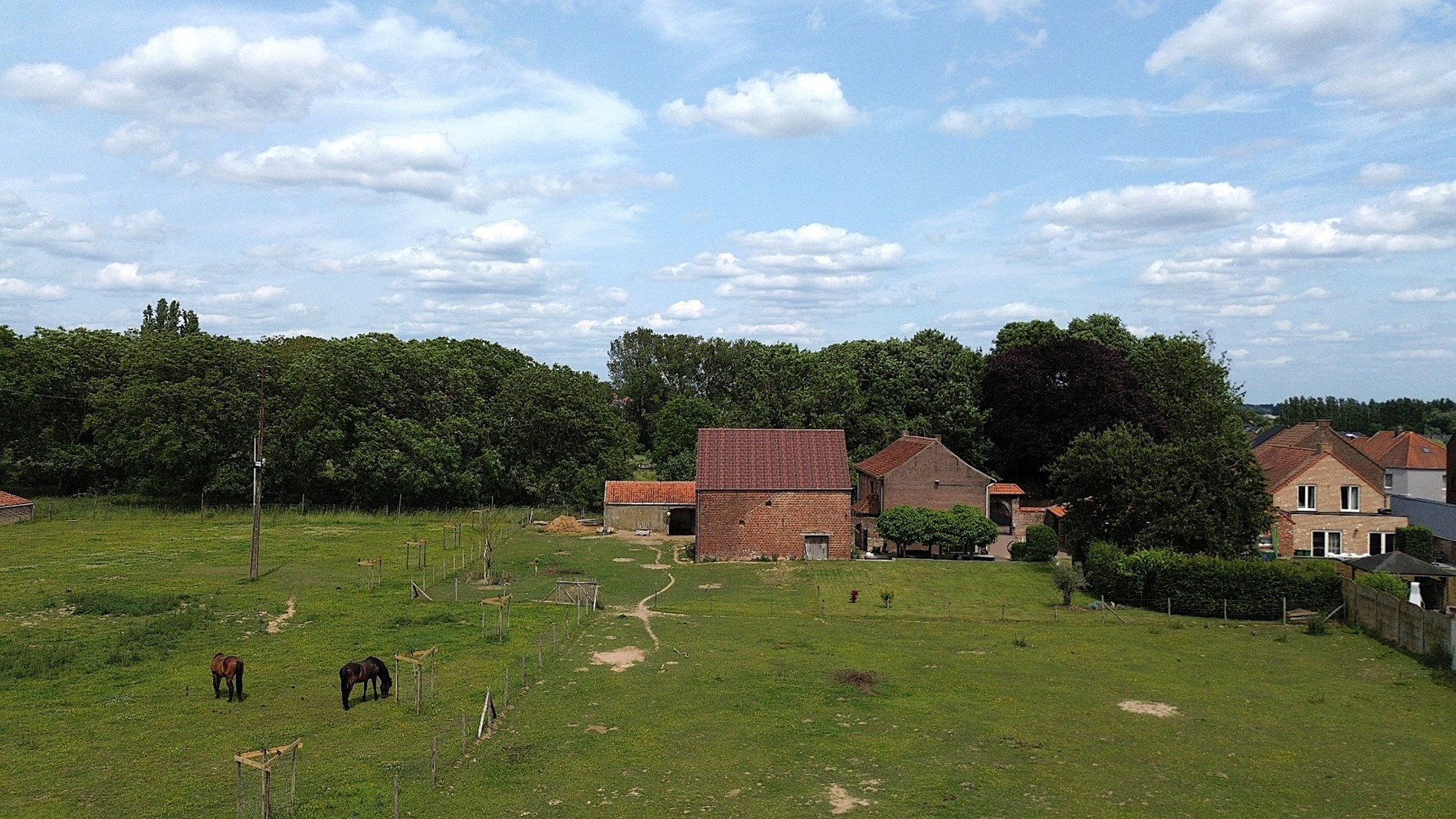 Prachtig perceel voor OPEN BEBOUWING te Kumtich - foto 5
