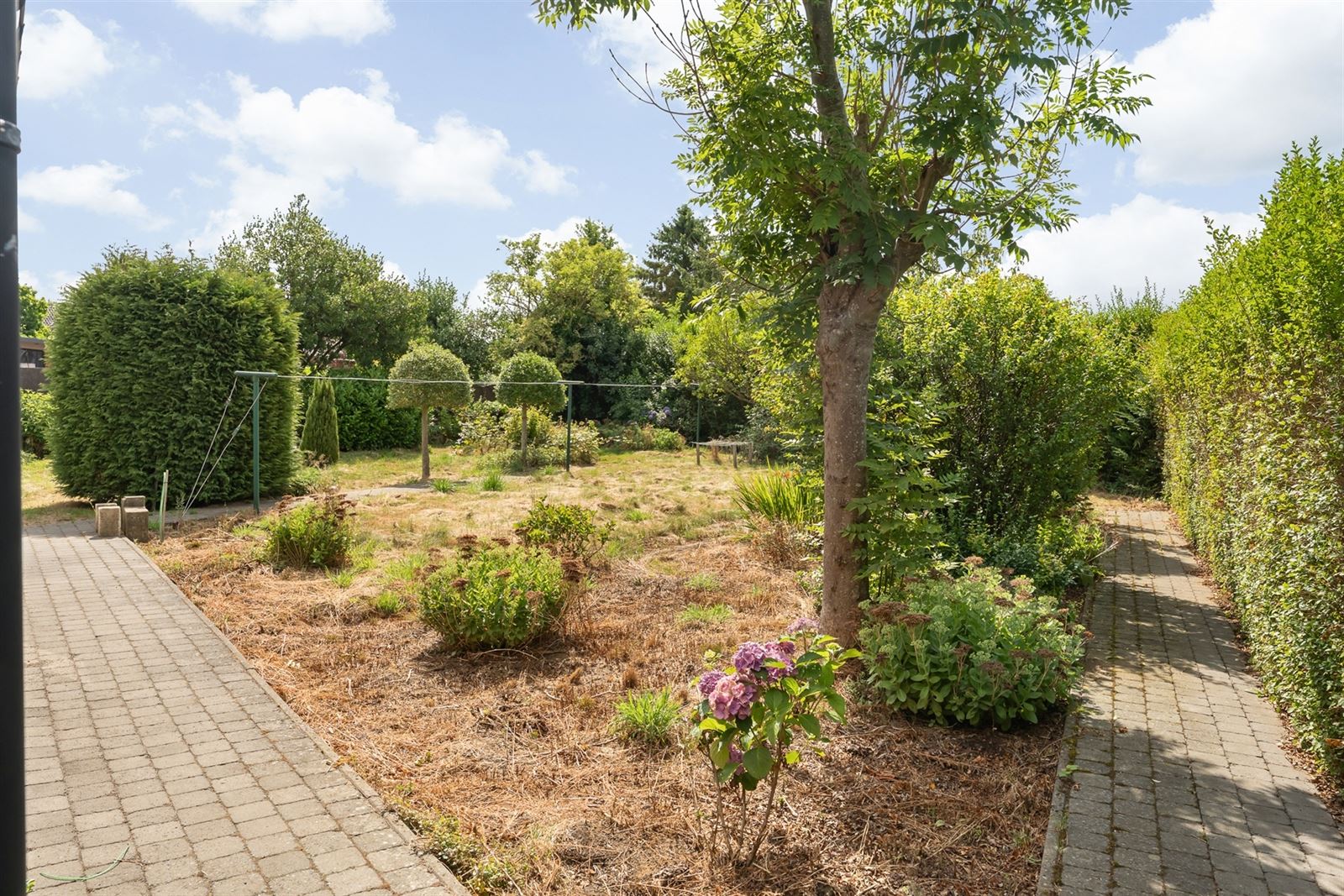 Handelshuis op 5A 25CA! - foto 3