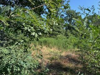 Prachtig perceel bouwgrond voor het optrekken van een villa in een residentiële en beboste omgeving gelegen in Tremelo .Deze bouwgrond is aan de...