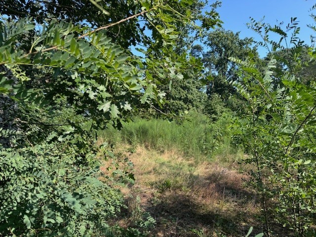 Villagrond van 17a 88ca geschikt voor open bebouwing - foto 3