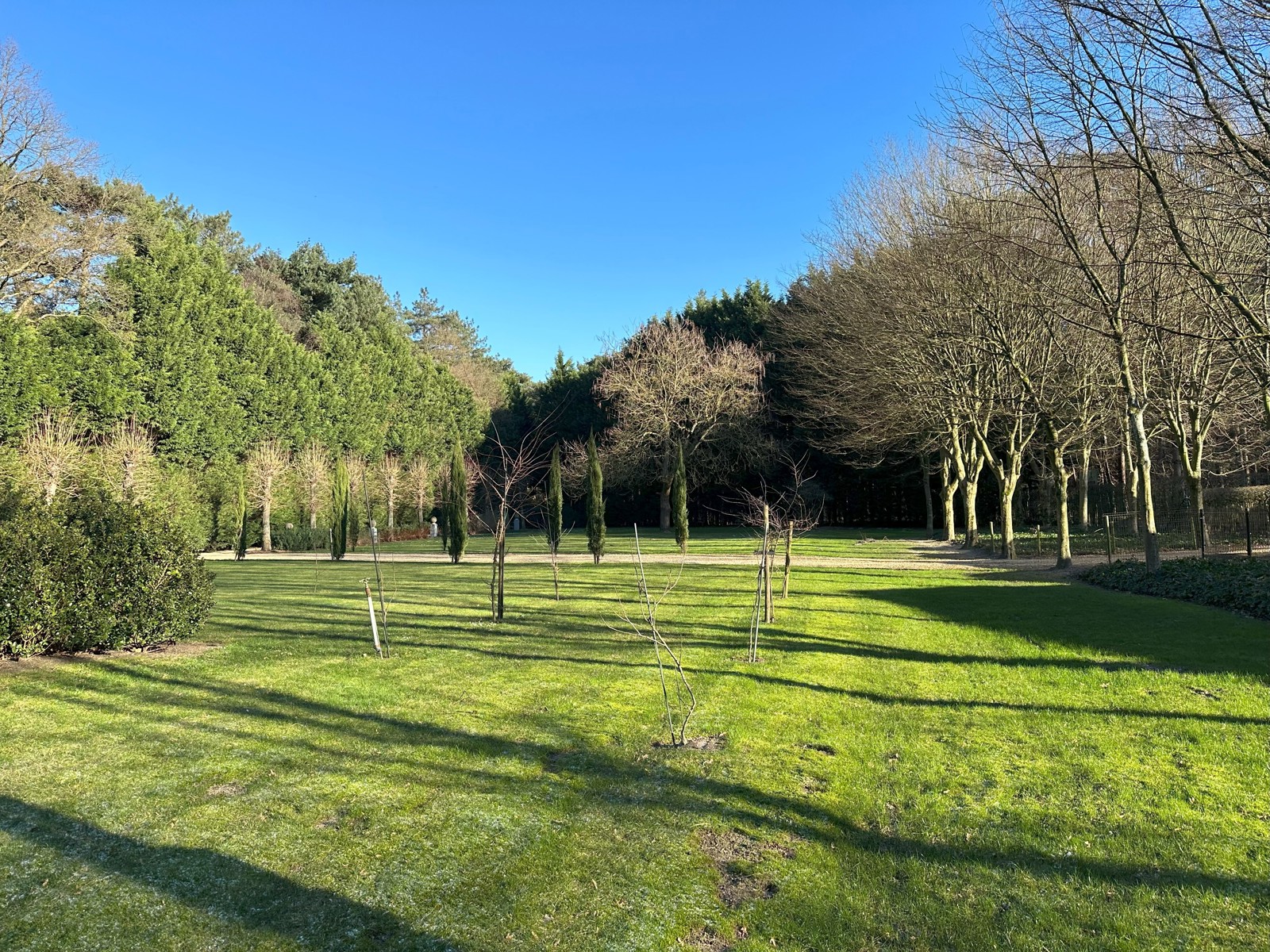 Gunstig gelegen perceel bouwgrond van 4.169m² - foto 4