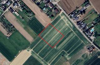 VALIMMAS verkoopt dit mooi gelegen perceel landbouwgrond te Baardegem. Oppervlakte: 51 are 50 ca (breedte ± 65m x diepte ± 80m). Gewestplan:...