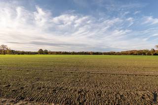 Maison à vendre à Turnhout