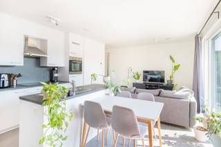 Dit gezellig en lichtrijk appartement werd afgewerkt met zeer kwalitatieve materialen en is reeds voorzien van vliegenramen en gordijnen. Het...