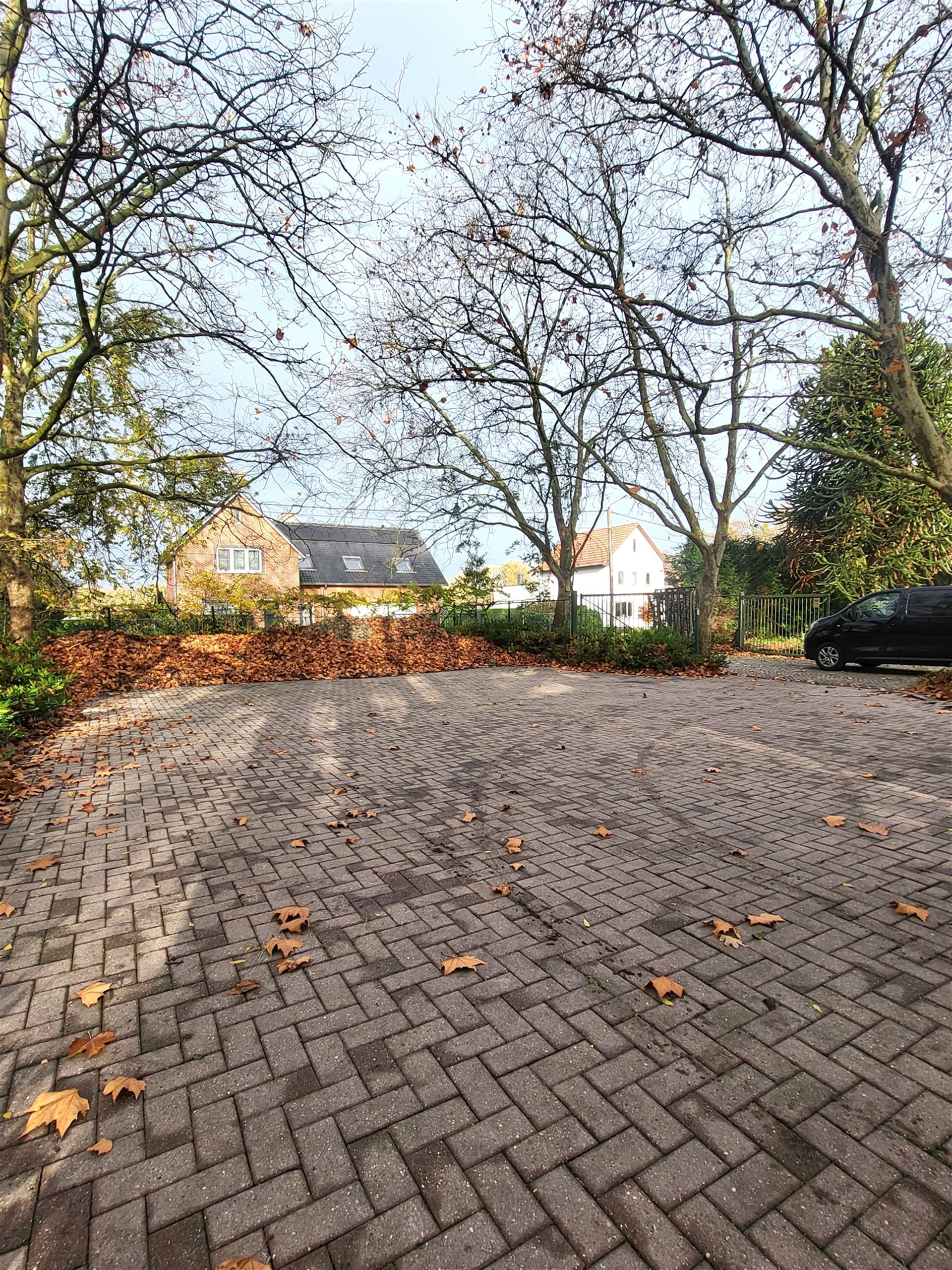 Villa met professionele opslagruimte, kelder en kantoorruimtes. - foto 4