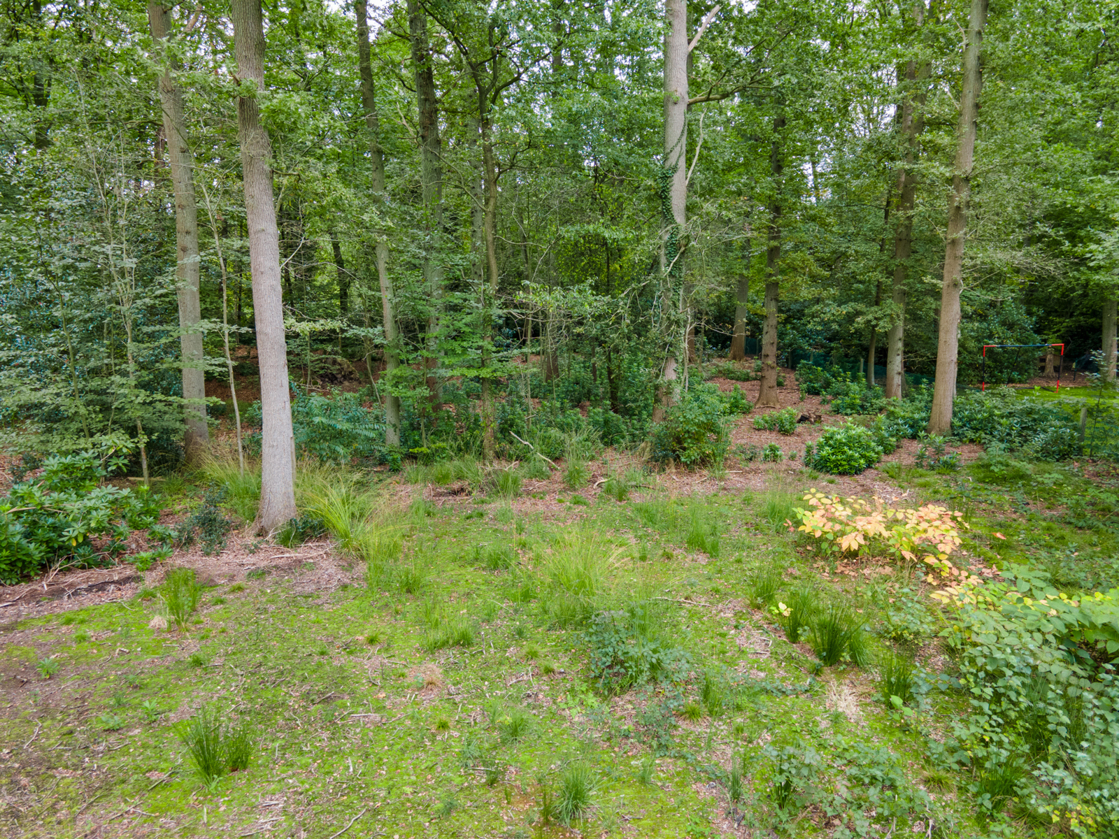 Bouwgrond van 2700 m² gelegen op een residentiële locatie. - foto 2