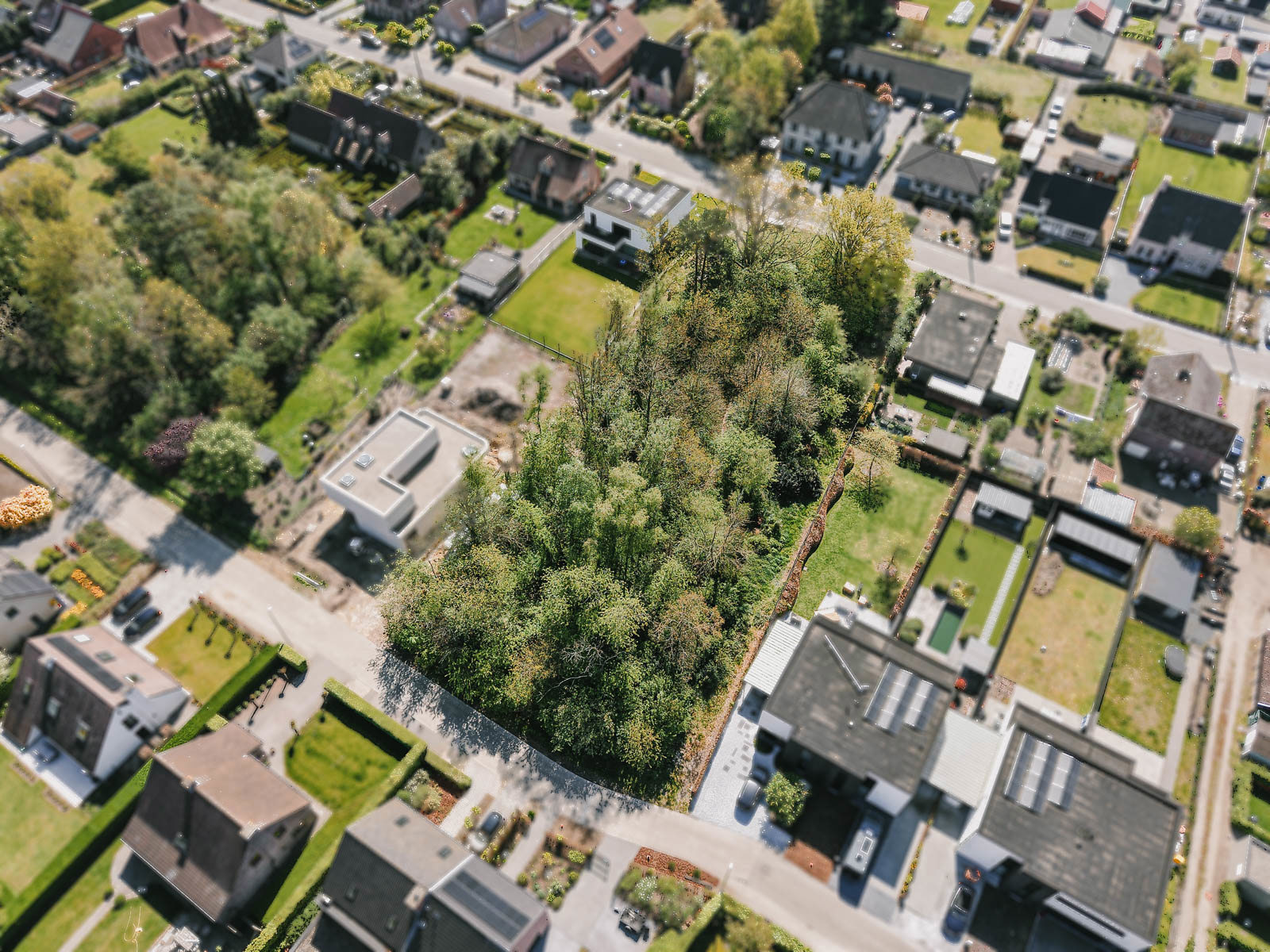 Land for sale in Putte - photo 4