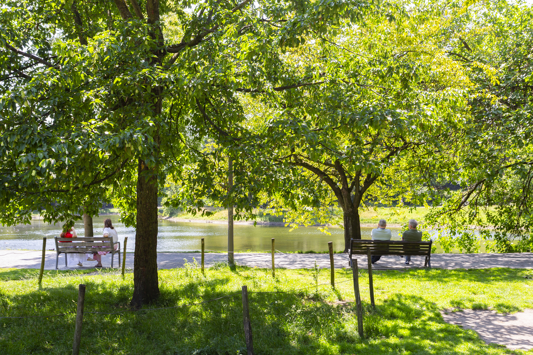 Charmant appartement met terras nabij Stadspark - foto 3