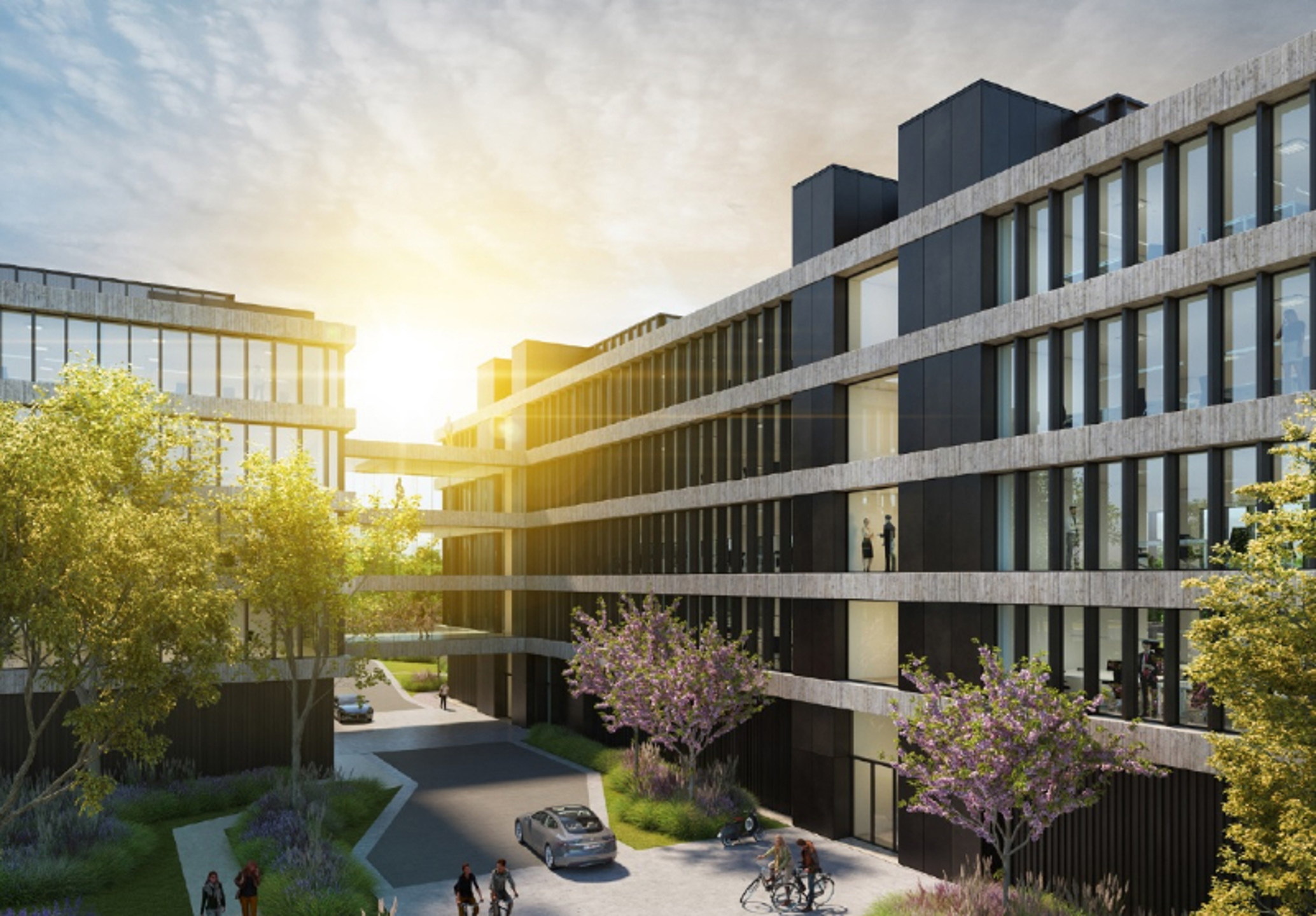 Commercial for rent in Zaventem - photo 2