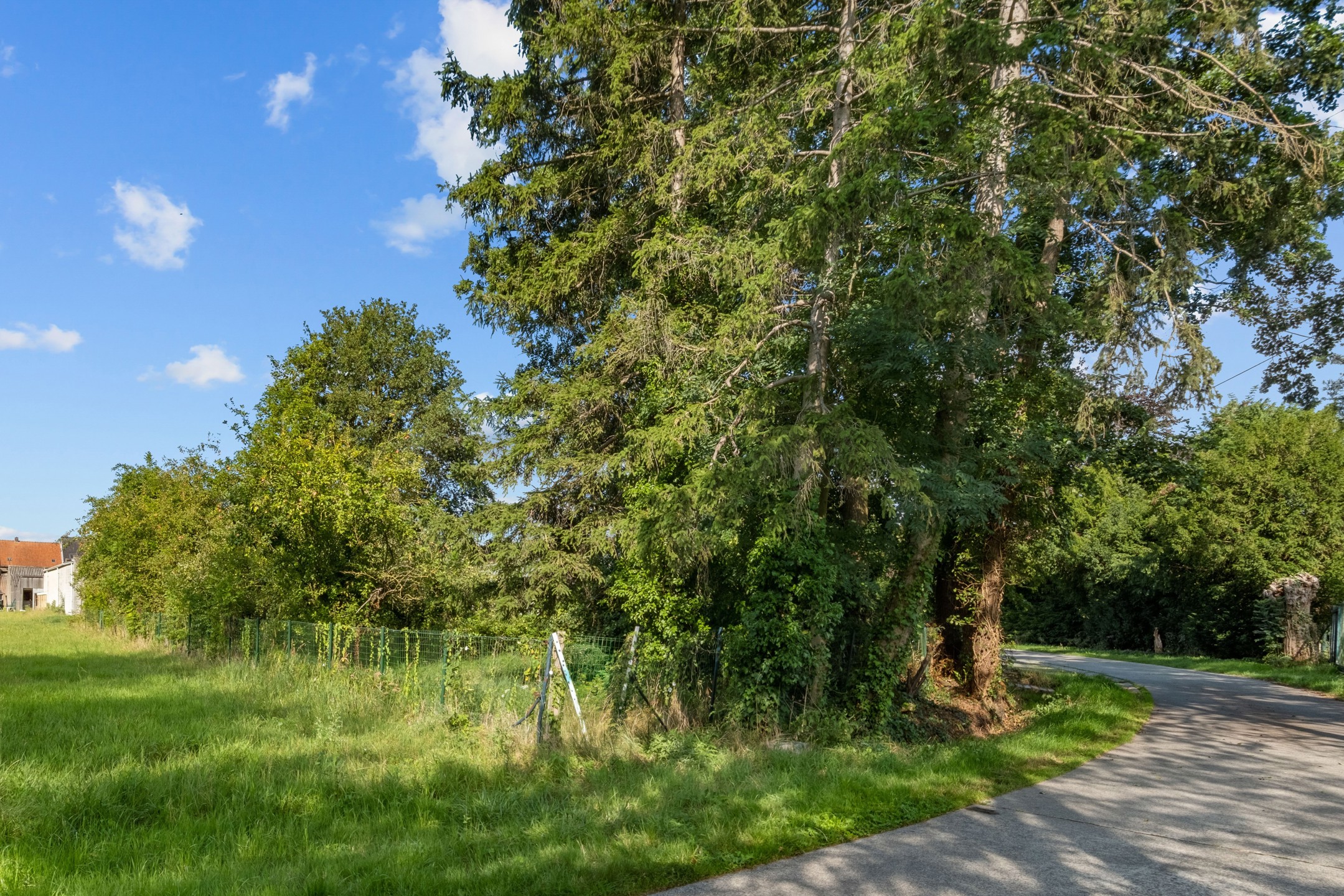 Commercial à vendre à Kluisbergen - photo 4