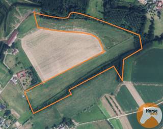 ZOTTEGEM - +/- 8HA Weide en +/-2,8HA bosDit perceel kunt u terugvinden onder ZOTTEGEM AFD4/Grotenberge, sectie: A, nummers: 1240r - 1242a - 1244c -...