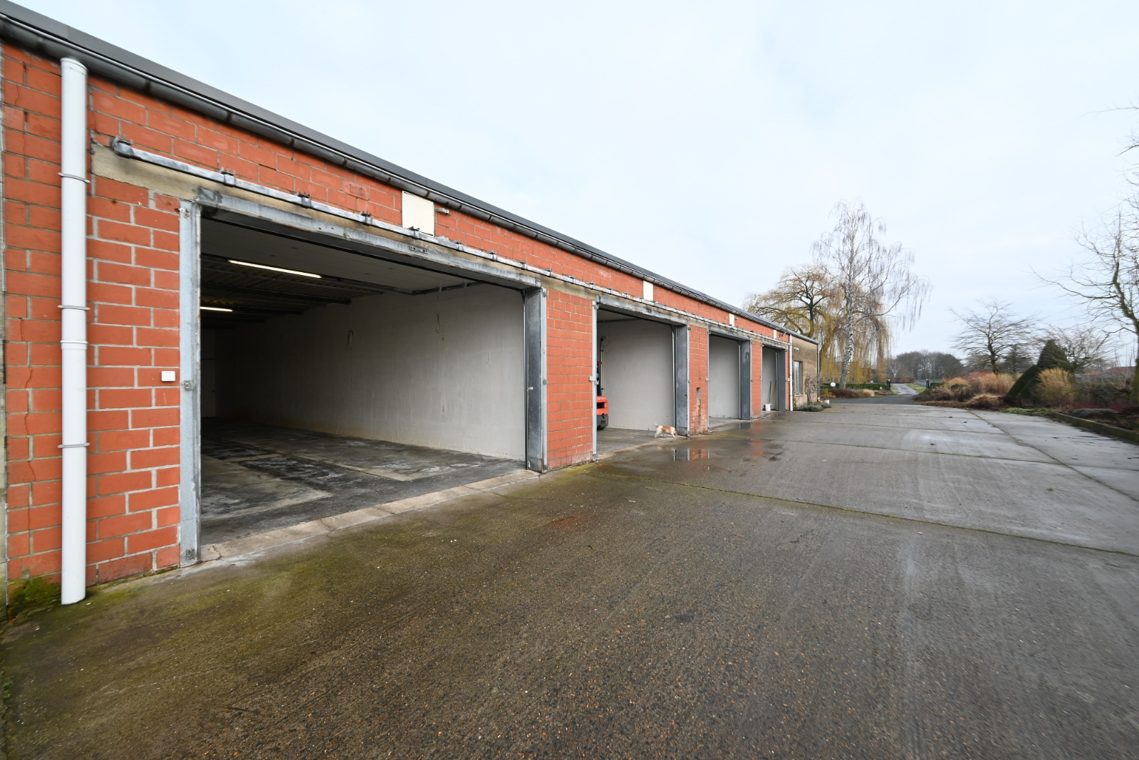 Commercial for rent in Ardooie - photo 4