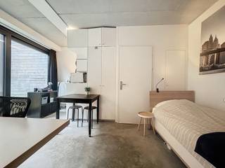 ENKEL VOOR STUDENTEN<br /><br />Deze aangename studentenkamer is gelegen op het gelijkvloers aan de Paardenmarkt, op een toplocatie in de nabijheid van winkels, scholen en het openbaar vervoer.<br /><br />De studentenkamer is volledig bemeubeld en beschikt over een bed, een bureau en een eigen badkamer met douche en lavabo. Daarnaast geniet u van een gezellig privatief tuintje, een absolute meerwaarde om tot rust te komen in het hart van de stad.<br /><br />Deze studio combineert een praktische indeling met een uitstekende ligging.