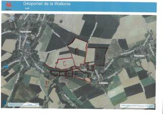 <p><span>Uniek geheel van 73,11 ha landbouwgrond te Petit-Hallet (Orp-Jauche).</span></p><p><span>Bestaande uit verschillende aaneengesloten blokken.</span></p><p><span>Blok C heeft een oppervlakte van 11 ha 10a 56 ca.</span></p><p><span>De prijs voor deze grond bedraagt 80.000 EUR/ha.</span></p><p><span> </span></p><h3><span>Blok C – 11 ha 10 a 56 ca</span></h3><ul><li><span>Eigendom:</span><span> 9 ha 28 a</span></li><li><span>Pacht:</span><ul><li><span>77 a (Patricia)</span></li><li><span>20 a (Dupont)</span></li><li><span>23 a (Kerkfabriek)</span></li></ul></li><li><span>Volledig in exploitatie.</span></li></ul><p><span> </span></p><p><span> </span></p><p><span>De foto's zijn van de verschillende aaneengesloten stukken.</span></p><p><span> </span></p>