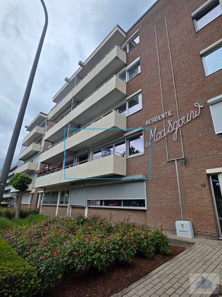 Appartement à louer à Maaseik