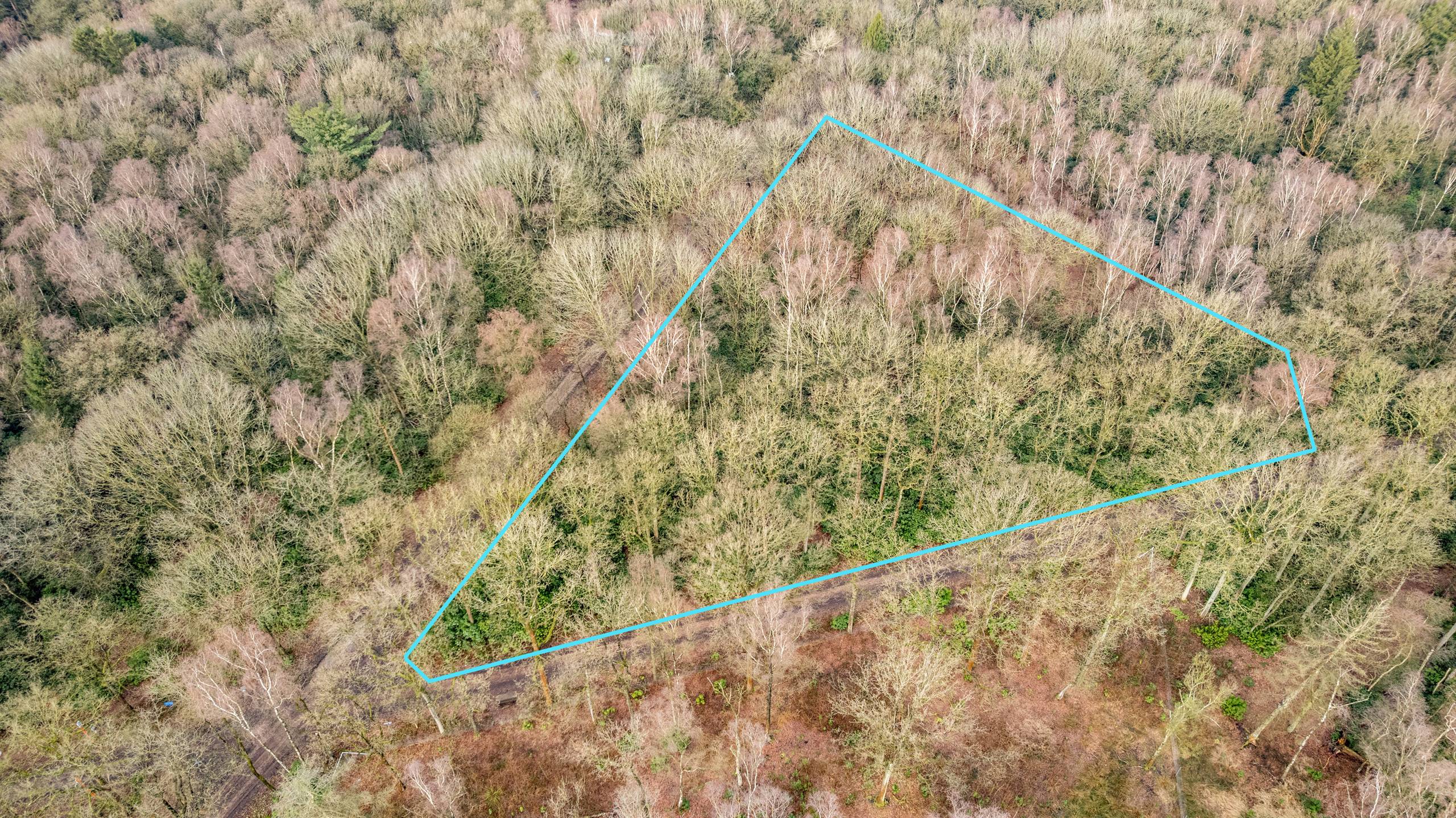 Terrain à vendre à Wuustwezel - photo 4