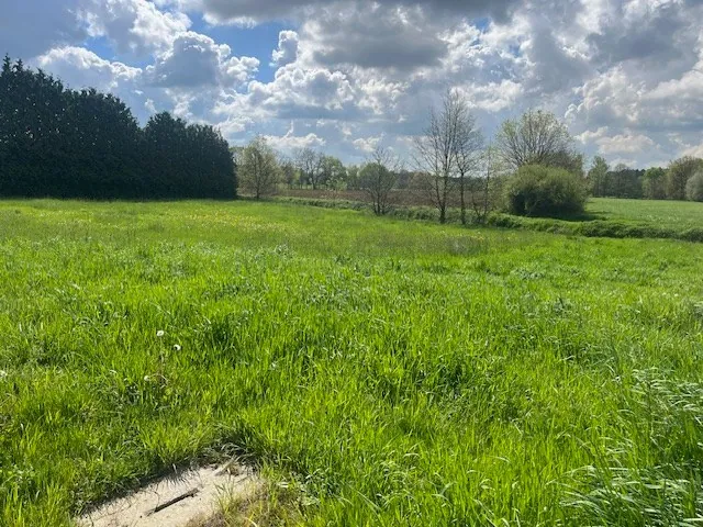 BETEKOM - Drie ruime bouwgronden voor OB, vlak bij het centrum - foto 3