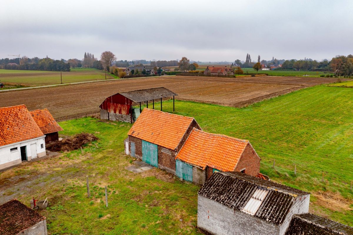Hoevetje op 2 ha 67 are te koop te Kruisem - foto 4