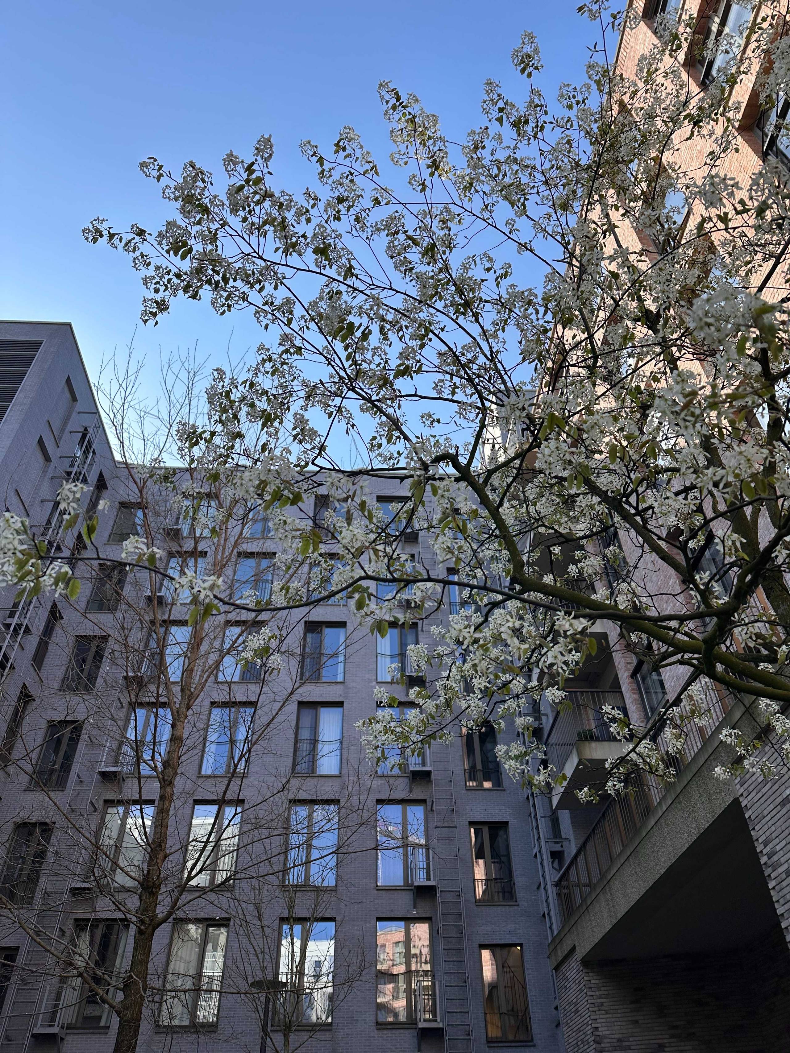 Appartement à vendre à Anvers - photo 3