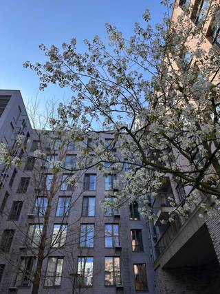 Appartement à vendre à Anvers