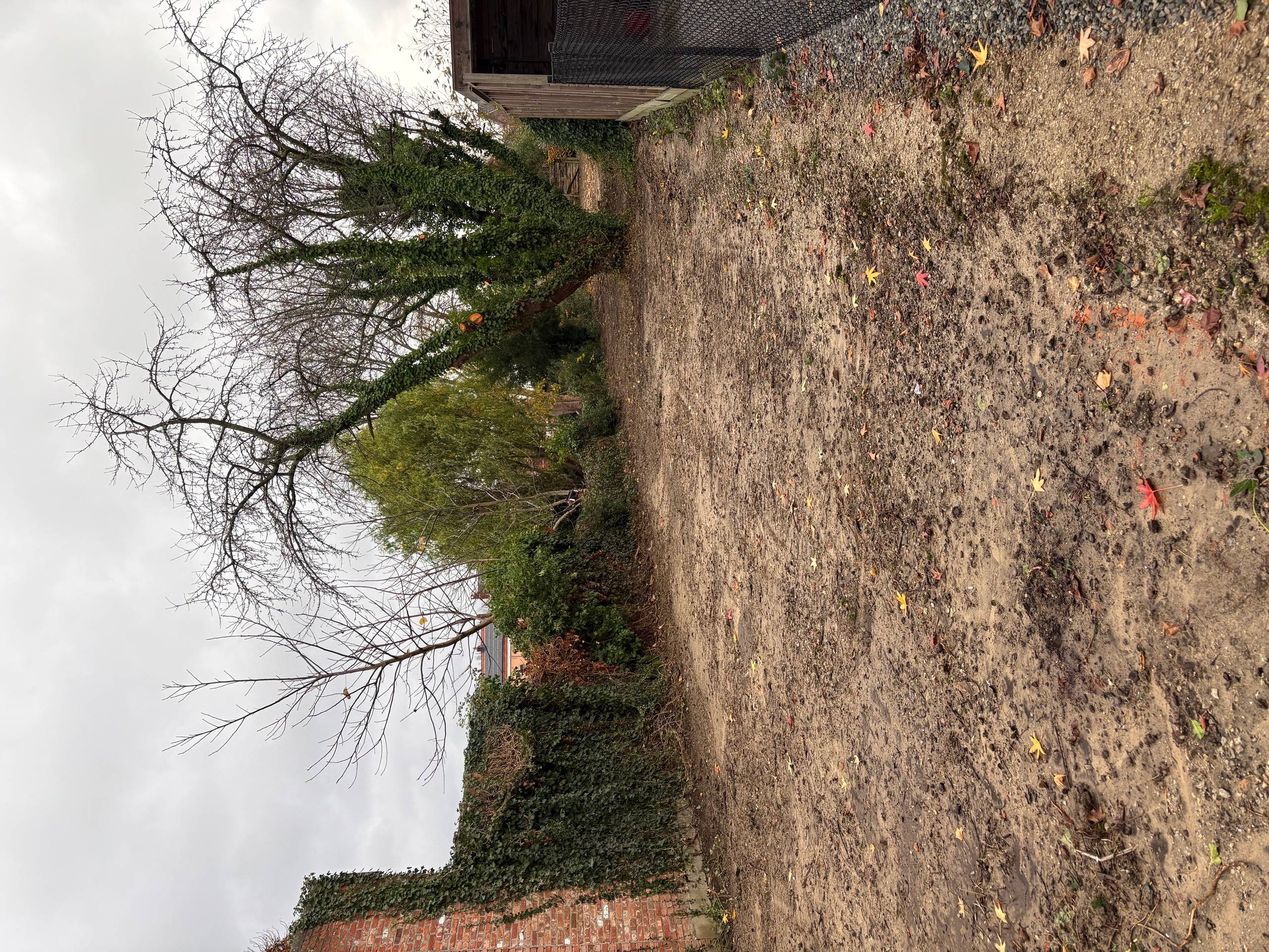 Mooie bouwgrond te koop in Leuven Wijgmaal. - foto 3