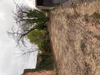 LOCATIEWij stellen u graag voor aan deze uitstekend gelegen bouwgrond in de dorpskern van Wijgmaal. Op wandelafstand van een supermarkt,...