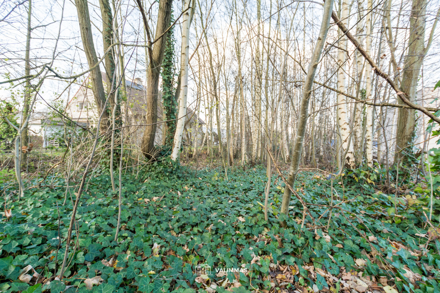 Land for sale in Asse - photo 5