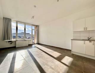Deze instapklare studio, gelegen op de 5de verdieping is ca. 32m², goed onderhouden en van alle gemakken voorzien. <br />Er is een klein keukentje voorzien van kookfornuis (gas), koelkast en spoelbak. Ook zijn er nog voldoende kasten voor het opbergen van spullen. De badkamer werd recentelijk vernieuwd en heeft een lavabo, douche en toilet. <br />Het terras is ideaal en gelegen in het Oosten. <br /><br />Huurprijs €750,- + €50,- (provisie alg kosten en provisie water ) Elek, gas en internet is individueel.<br /><br />Kom je graag kijken? Neem gerust contact op via immo@sidimex.be of bel ons op 03 203 02 02 voor een afspraak.<br /><br />#bijonszituvastgoed