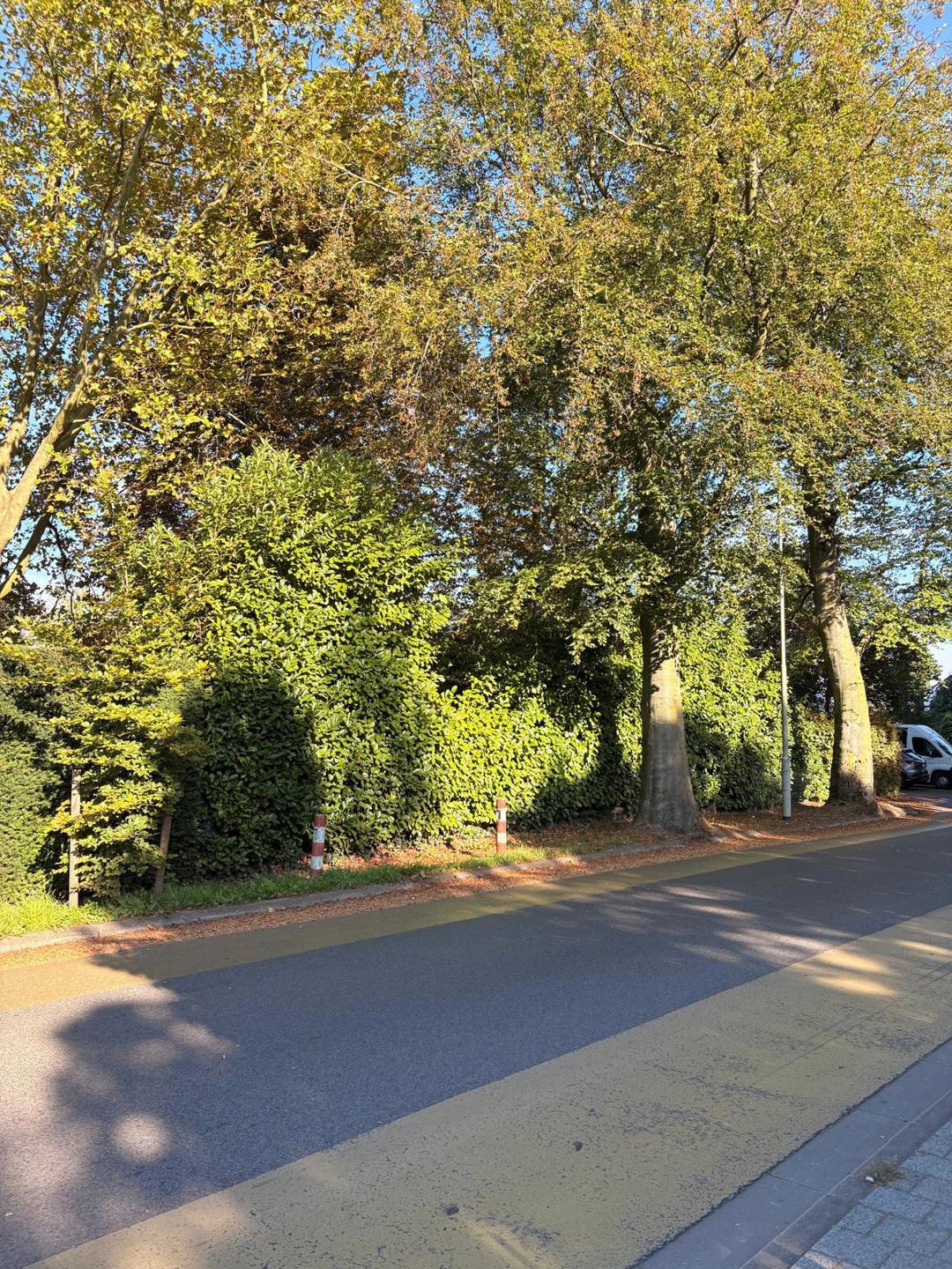Grond te koop in Aartselaar - foto 5