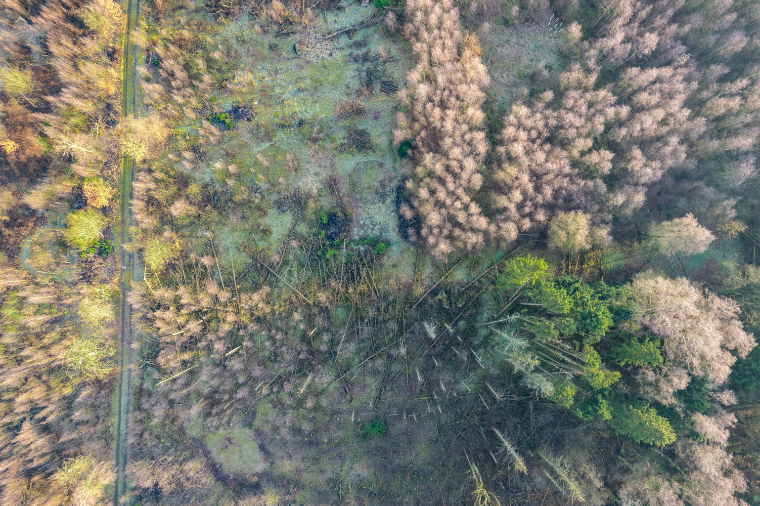 Grond te koop in Brecht - foto 4