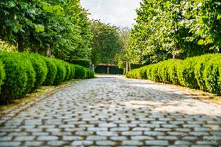 PROPRIÉTÉ D’EXCEPTION AU CŒUR DE LA CAMPAGNEDans un cadre bucolique, au cœur de plus de 4 hectares de parc arboré, découvrez cette majestueuse...