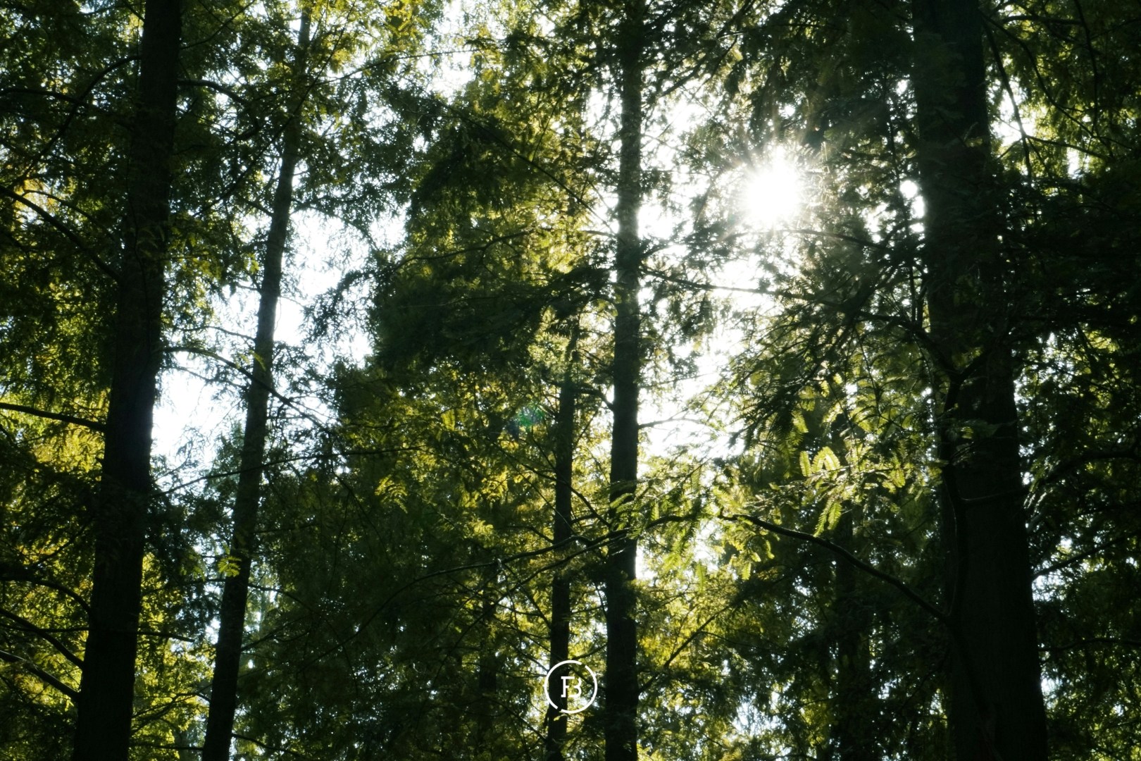 …
