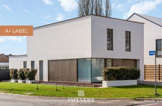 Voor meer info en foto’s, surf naar www.swevers.be – Deze exclusieve A+ architectenwoning in de Meelbergstraat in Paal, gebouwd in 2025, combineert moderne architectuur met een doordachte indeling en hoogwaardige afwerking.Label A is de norm voor woningen tegen 2050. Deze is zelfs A+. Met een bewoonbare oppervlakte van 217 m² geniet u van een ruime en lichtrijke leefomgeving dankzij grote raampartijen en een open structuur. Via de inkomhal bereikt u het gastentoilet, de berging en de inpandige garage, met aansluitend de leefruimte van 38,64 m² en een volledig uitgeruste keuken (12,60 m²) met eiland en Miele-toestellen. Het overdekte terras vormt een mooie overgang naar de tuin.<br />Op de verdieping bevinden zich drie slaapkamers en twee badkamers. De masterbedroom (34 m²) beschikt over een ensuite badkamer met ligbad, douche en dubbele lavabo. De overige kamers (12,60 m² en 12,96 m²) zijn volwaardig, aangevuld met een tweede badkamer en extra bureauruimte op de overloop. Het zuidwest georiënteerde perceel van 8a 21ca biedt optimale zoninval, met een verwarmd zwembad en poolhouse ( 40m²) met voorzieningen. Verder is de woning uitgerust met zonnepanelen, laadpaal, hybride verwarming en ventilatiesysteem D. <br />Een A+ woning is niet alleen energiezuinig. Het is comfortabeler wonen, elke maand besparen én investeren in de toekomst. Gelegen nabij Paalse Plas, Millennium Golf en op 2200 m van de snelweg, met scholen en winkels dichtbij. Richtprijs: €765.000 excl. Btw en aansluitkosten nutsvoorzieningen. . Voor meer informatie, bel 011 255 155. Bron bewoonbare oppervlakte: EPC – verslag.