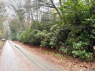 Prachtig perceel bouwgrond van 1.678m² met af te breken chalet, gelegen in een zone voor verblijfsrecreatie "Het Kamp" grenzend aan natuurgebied...