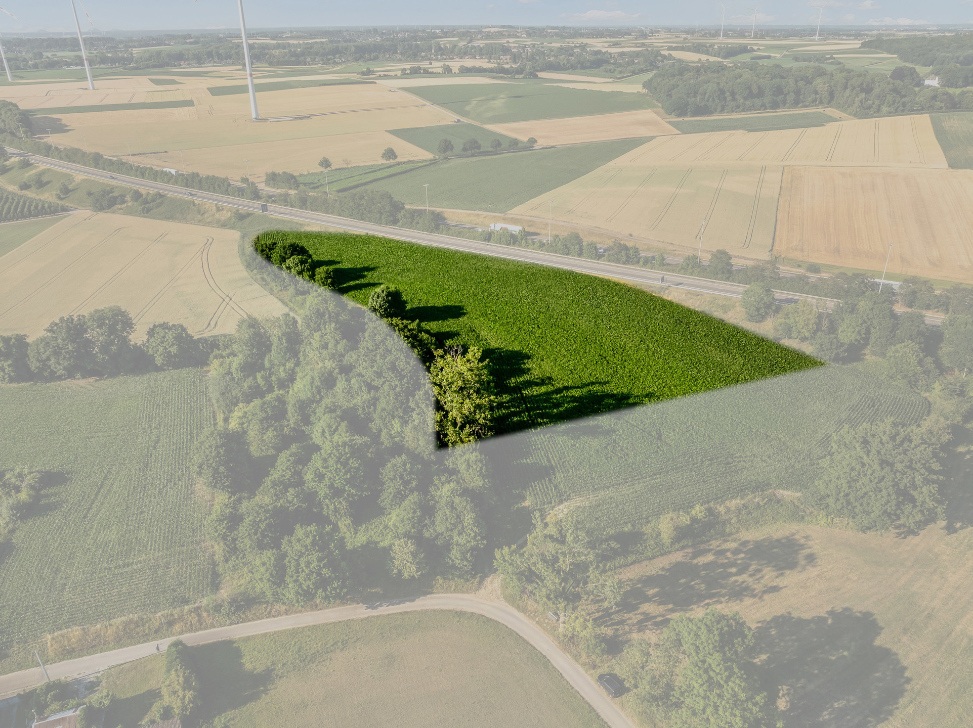 Landbouwgrond 1ha36a02ca te Ketsingen (Tongeren) - foto 1