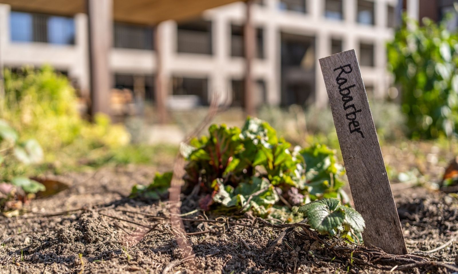 App. B21.403 met 2 slaapkamers en ruim terras in Quartier Bleu - foto 3