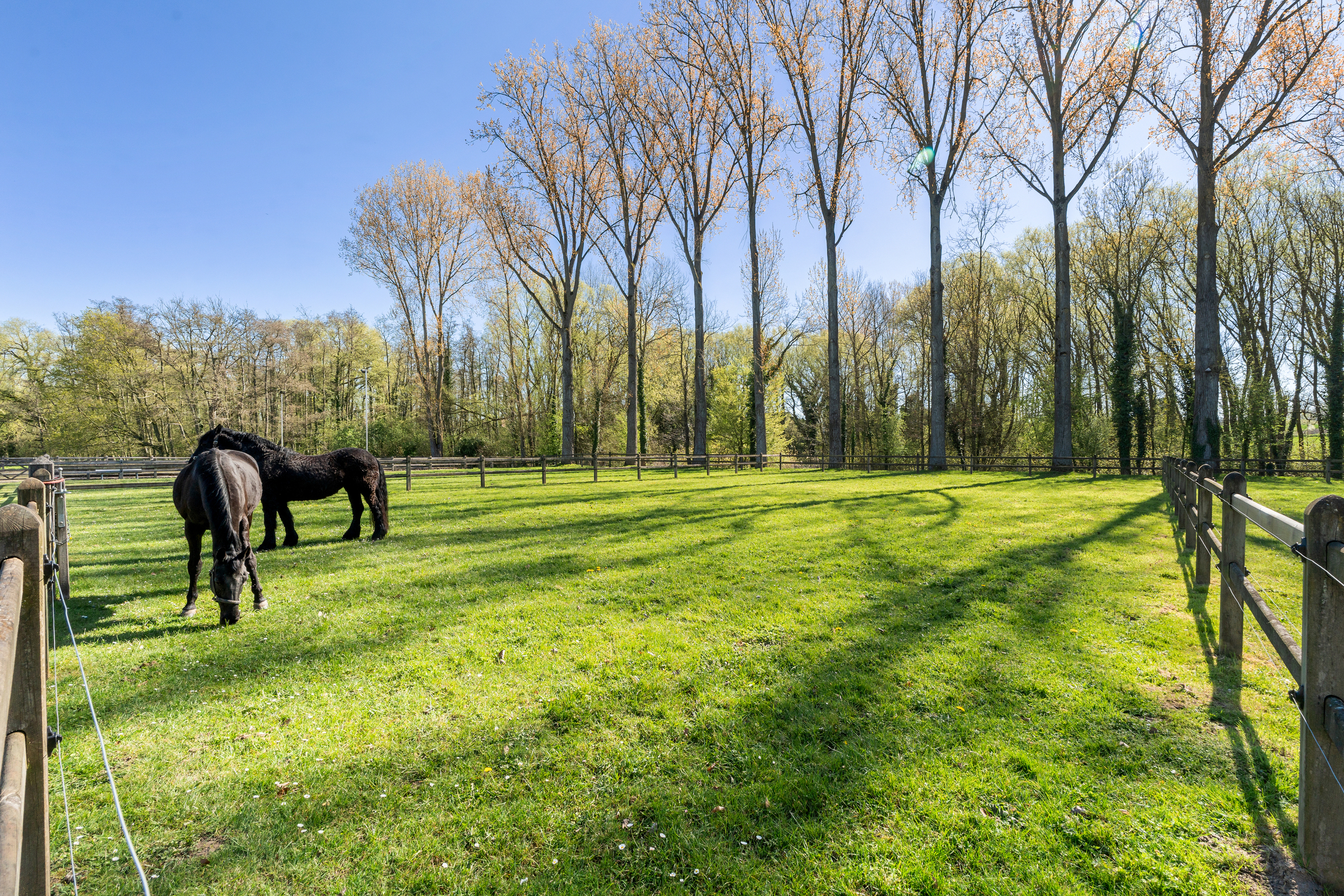 Exclusief domein met paardenaccommodatie en B&B - foto 4