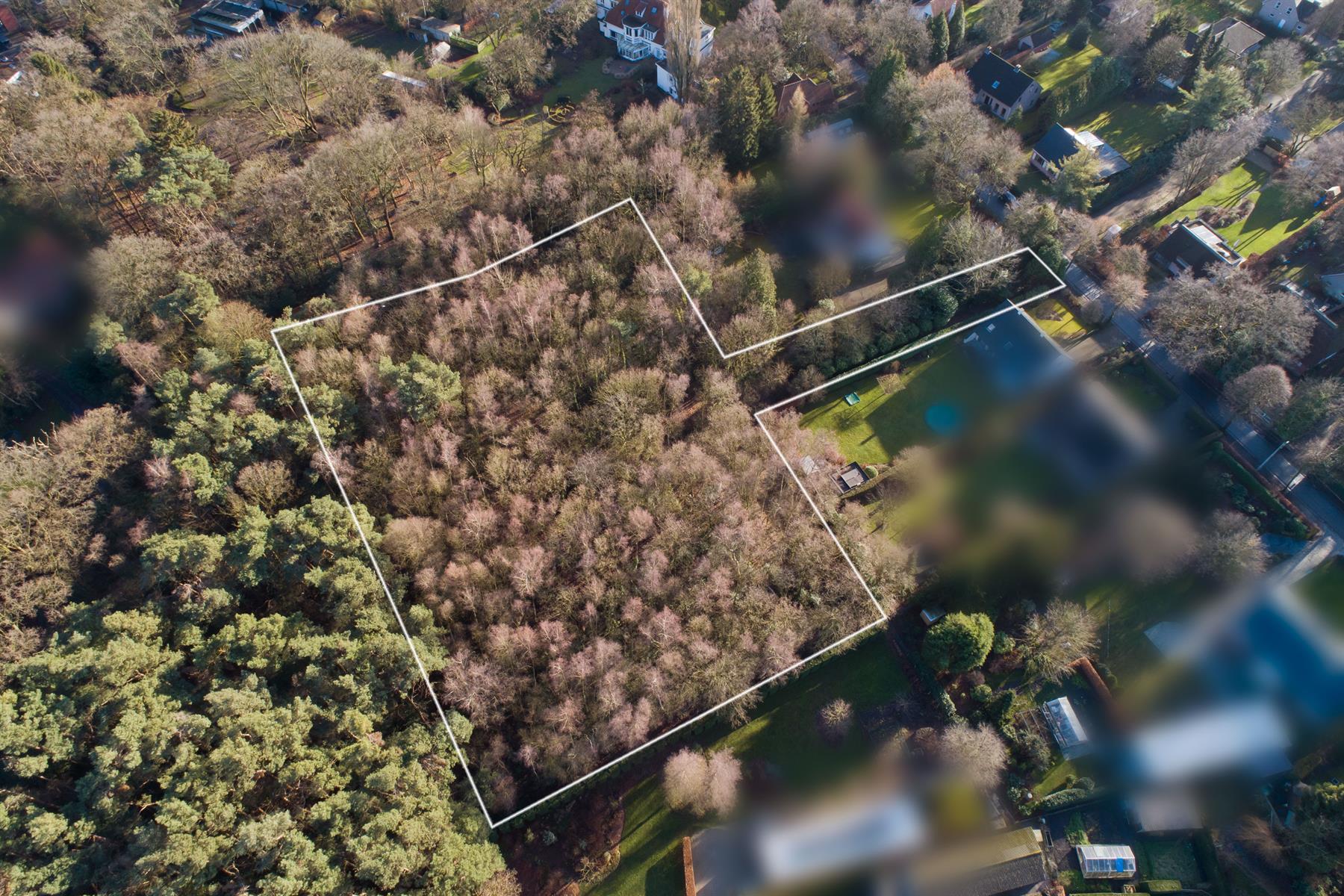 Woonbos voor kleine woning - foto 4