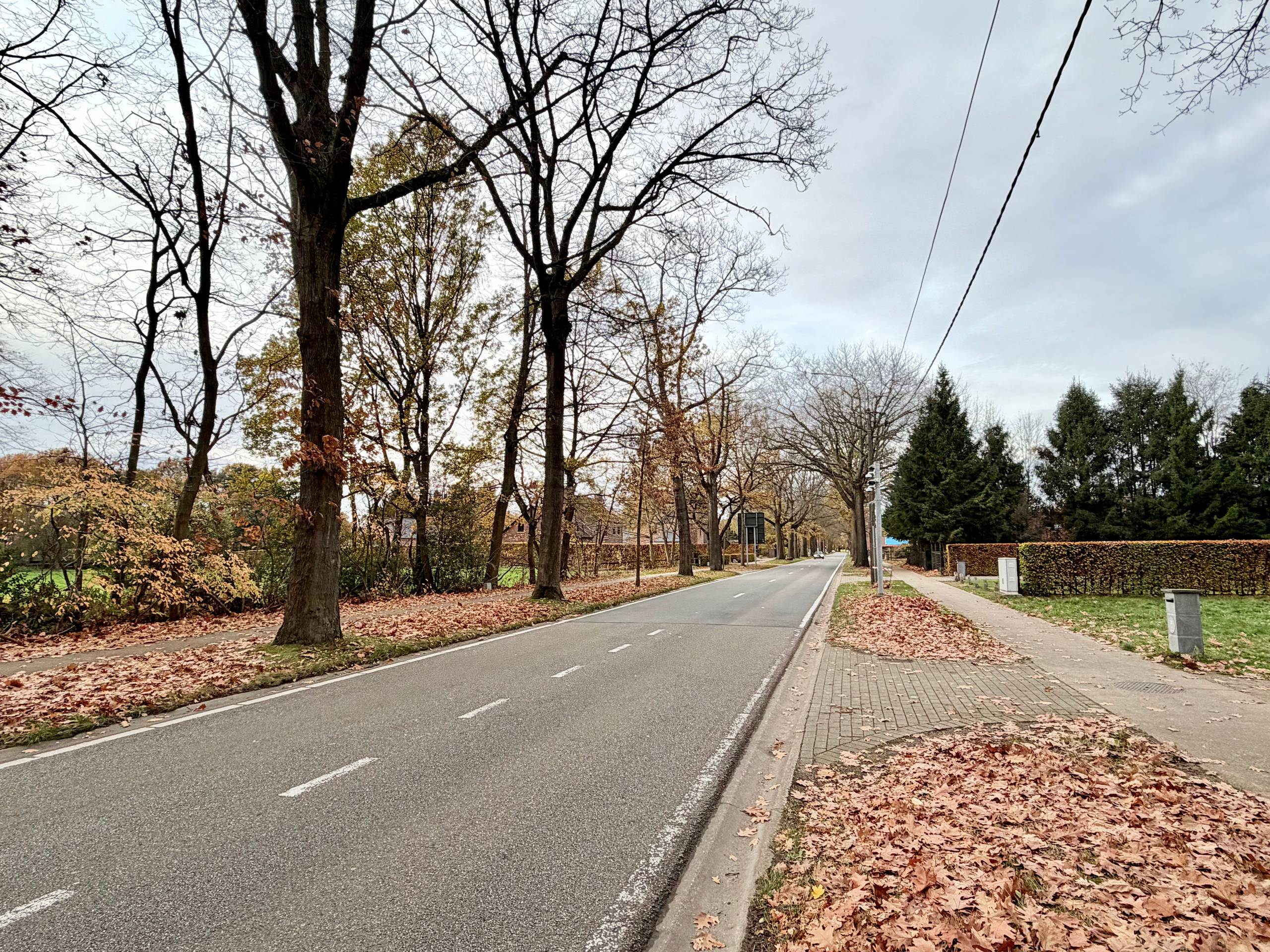 Genk, Camerlo 40: Ruim perceel voor open bebouwing 9a42ca, 23,55m breed - foto 3