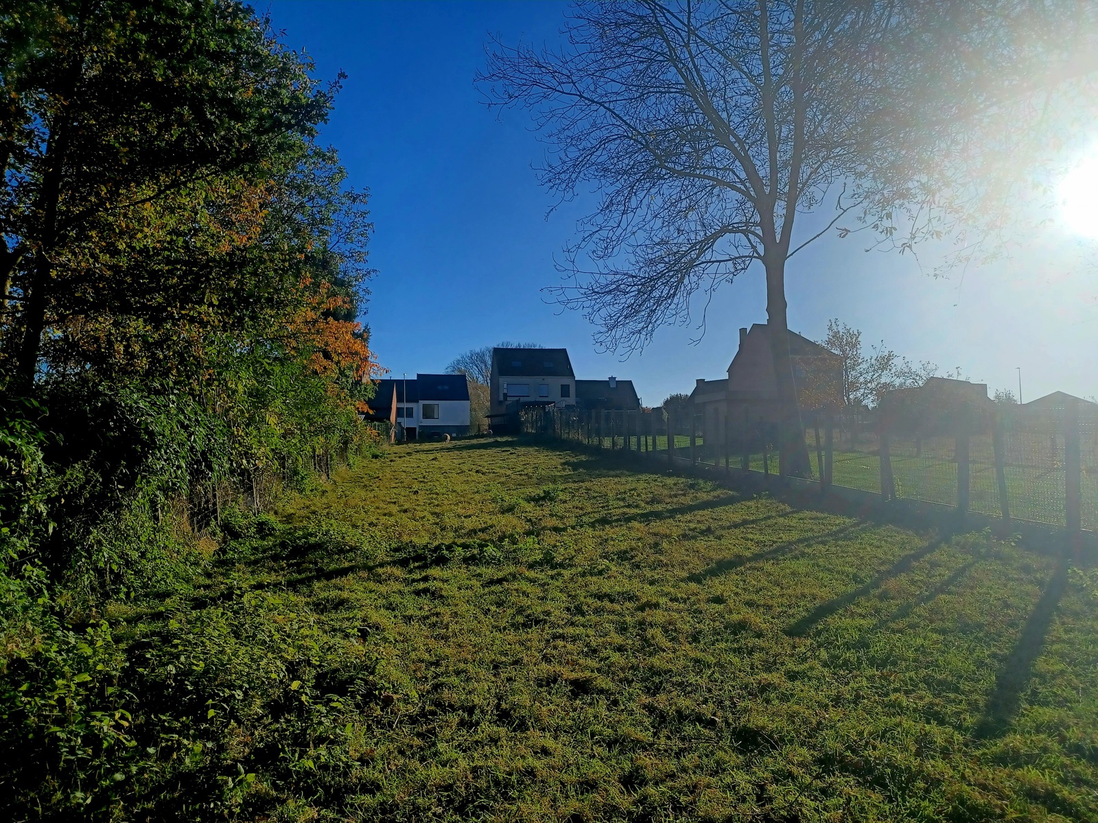 Land for sale in Denderleeuw - photo 4