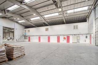 Dit magazijn te koop bevindt zich op een goed bereikbare locatie in Ronse, met een vlotte aansluiting op de N60 richting Oudenaarde, Gent en de E17, en de E429 richting Brussel en Doornik.<br /><br />Oppervlaktes:<br />- Perceel: 3.881 m²<br />- Magazijn: ca. 1.556 m²<br />- Polyvalente ruimtes: ca. 238 m² <br /><br />Specificaties magazijn:<br />- Vloer: polybeton<br />- Grote parkeermogelijkheid<br />- Dak: thermisch geïsoleerd<br />- Nokhoogte: 8 m<br />- Vrije hoogte: 6 m<br />- Elektrische sectionale poort: 4,7 m x 4,7 m<br />- Hoogspanningscabine van 200 kVA<br />- Technische ruimte<br /><br />Specificaties polyvalente ruimtes:<br />- Gelijkvloers 94 m² aan sanitair, kitchenette, kantoorruimtes, vergaderzalen...<br />- 1ste verdieping 144 m² aan kantoorruimtes en vergaderzalen<br /><br />Het geheel is verhuurd met een opzegtermijn van 2 maanden voor zowel huurder als eigenaar.<br /><br />Dit pand kan onderhevig zijn aan de renovatieverplichting die door de Vlaamse overheid wordt opgelegd voor niet-residentiële gebouwen. Consulteer voor meer informatie de website van het Vlaams Energie- en Klimaatagentschap via https://www.energiesparen.be/nr/renovatieverplichting.<br /><br />Bestuursmaatregelen in het maatregelenregister: nee