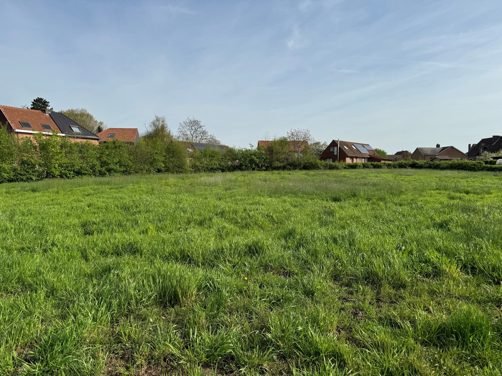 Land for sale in Sint-Martens-Bodegem - photo 4