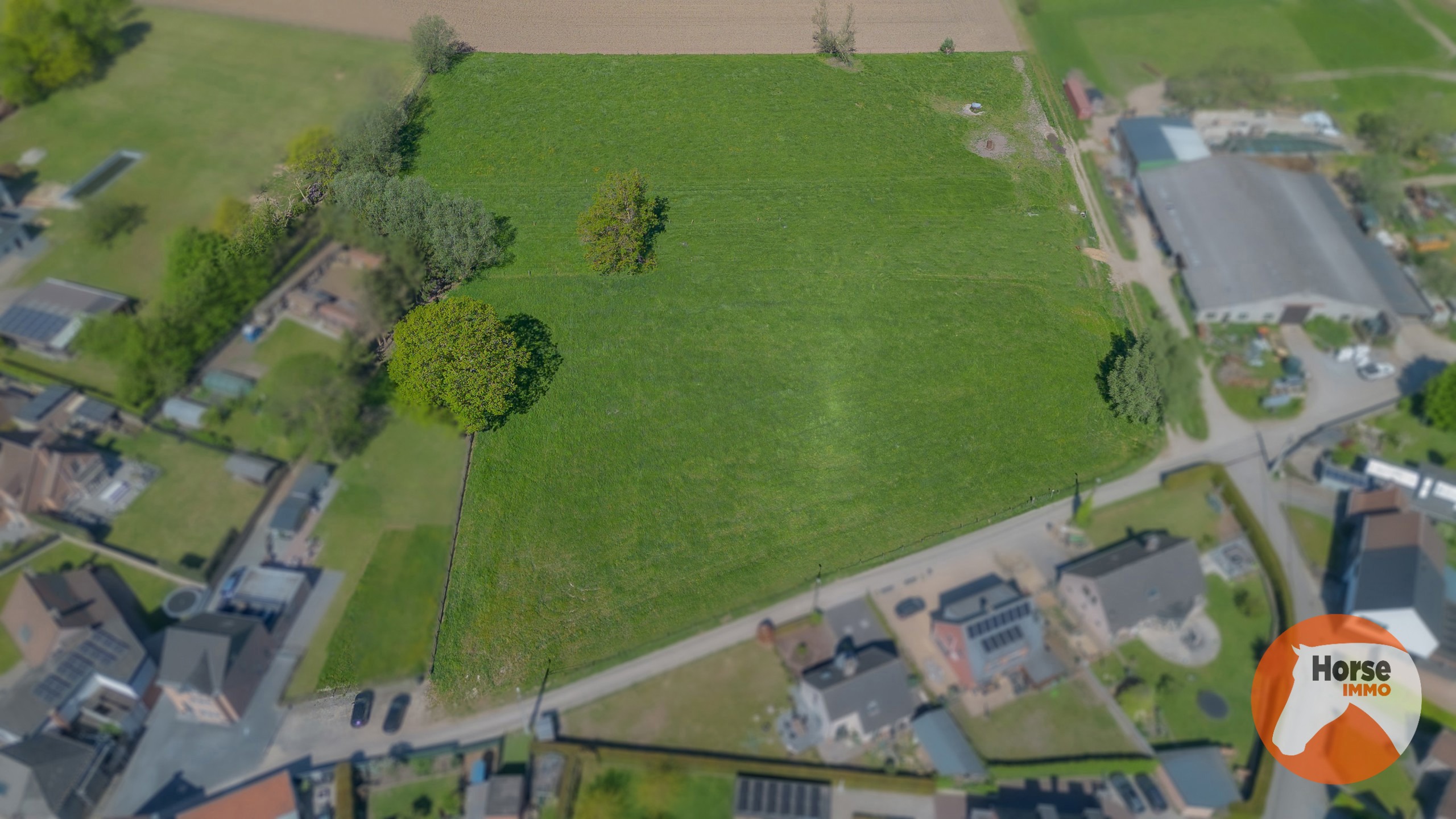 ERPE-MERE - Bouwgrond voor open bebouwing met weiland - foto 3