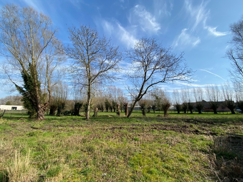 Land for sale in Nieuwerkerken - photo 2