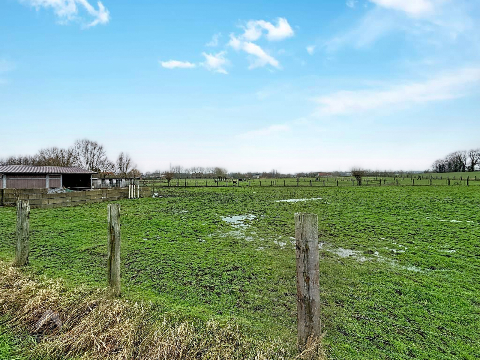 Weiland van 18.035 m2 met stal en oprit - foto 5