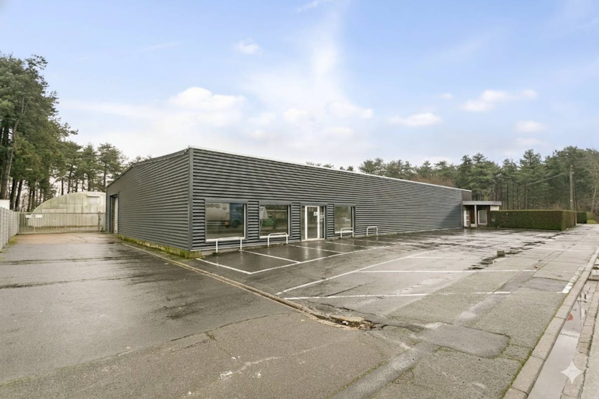Ruime loods van 700 m² te huur in Sijsele - foto 4