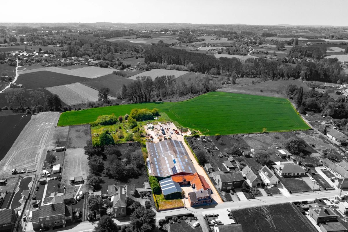 Hoeve met ruime stallen te koop te Zottegem op 4,68 ha - foto 1