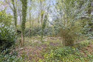 Baigné dans la verdure d'une impressionnante rangée d'arbres, ce terrain de 1 100 m² bien orienté est situé le long de De Linde/Puienbroeklaan...