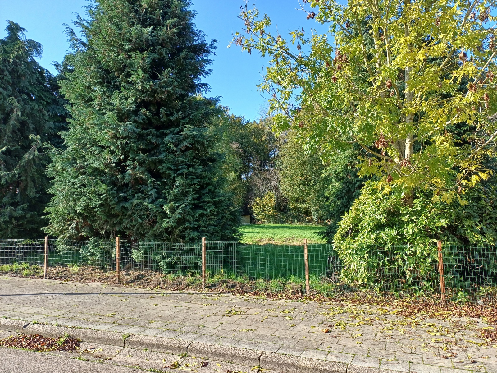 BOUWGROND VOOR OPEN BEBOUWING - foto 2